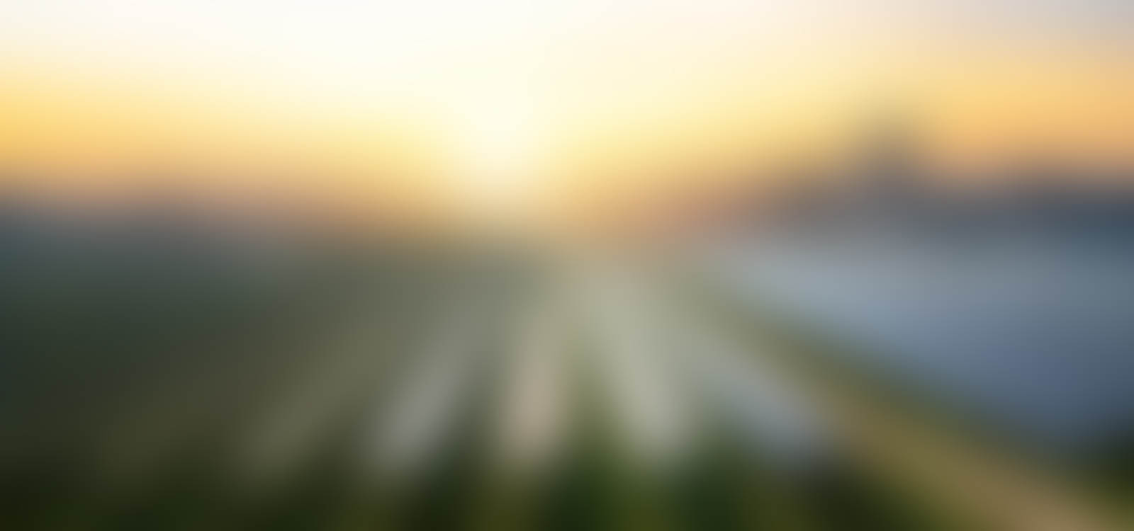 Providing Value To Our ClientsThrough Ongoing Product & Innovation.